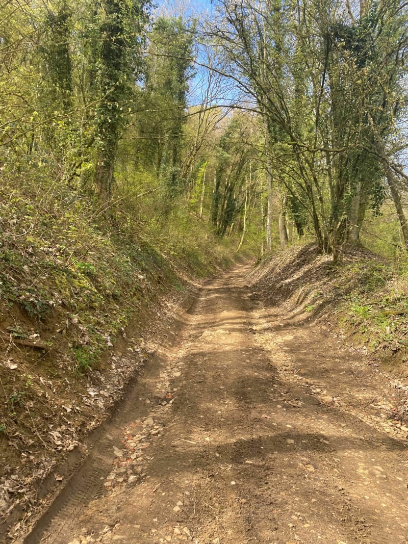 Circuit de l’écureuil à Edange - Fameck