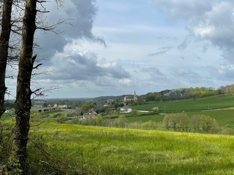 Les bois de Saint-Sauveur - Senillé-Saint-Sauveur