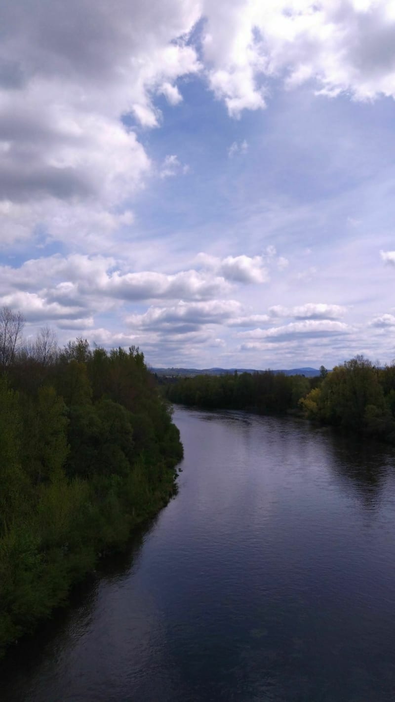 Balade depuis Vichy sur la rive gauche de L'Allier - Vichy