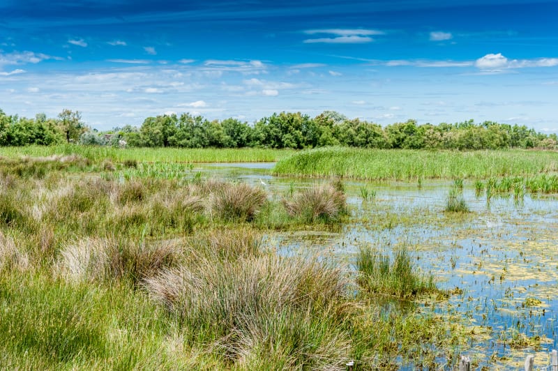 Balade à vélo entre plan d'eau et marais à Saint-Julien-de-Concelles - Saint-Julien-de-Concelles