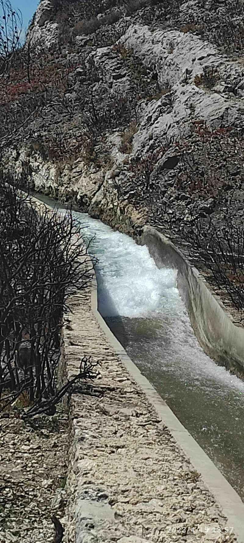 Dans les oliviers à Aureille par le Mas du Vallon - Aureille
