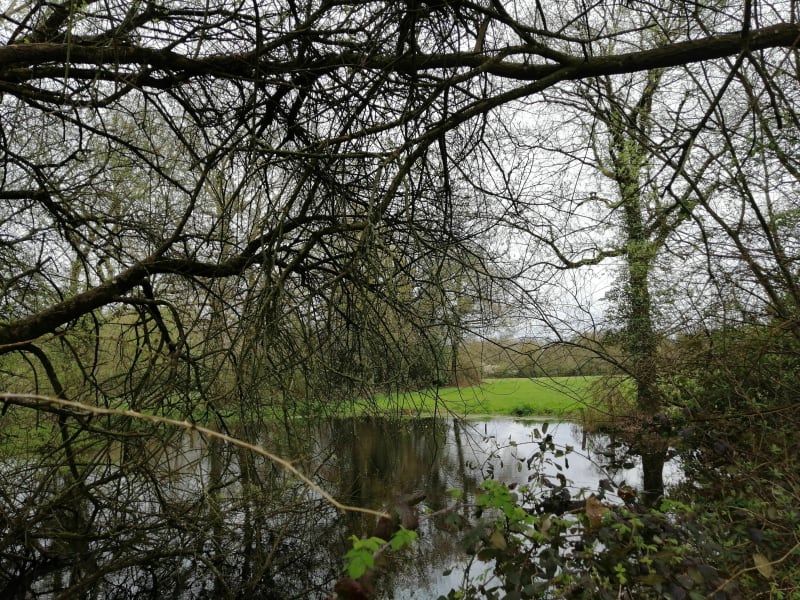 Les Hameaux de la Boissière - La Boissière-des-Landes