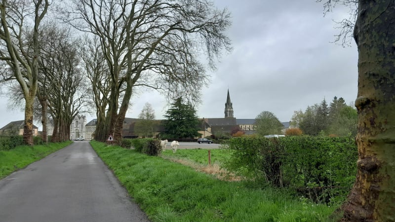 Tour de Soligny la Trappe - Soligny-la-Trappe