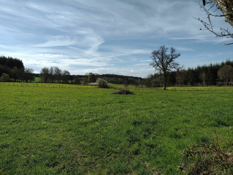 Dans la campagne aixoise - Aix