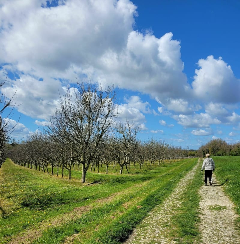 Belle balade à partir du lieu dit Les Roches - Pons