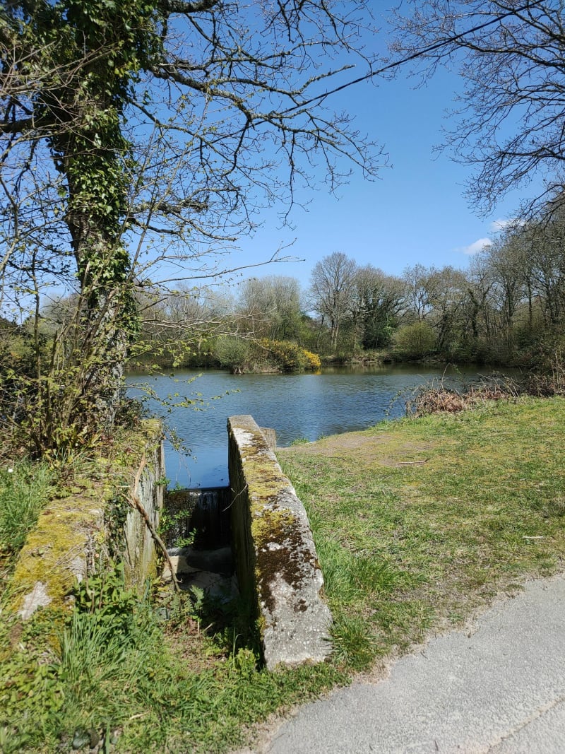 Autour de Couville - Couville
