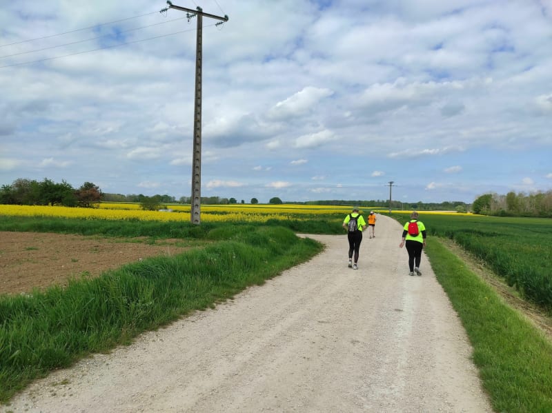 Course nature Trouhans - Trouhans
