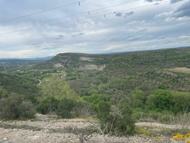 Balade dans les bois de Saint Martin - Labeaume