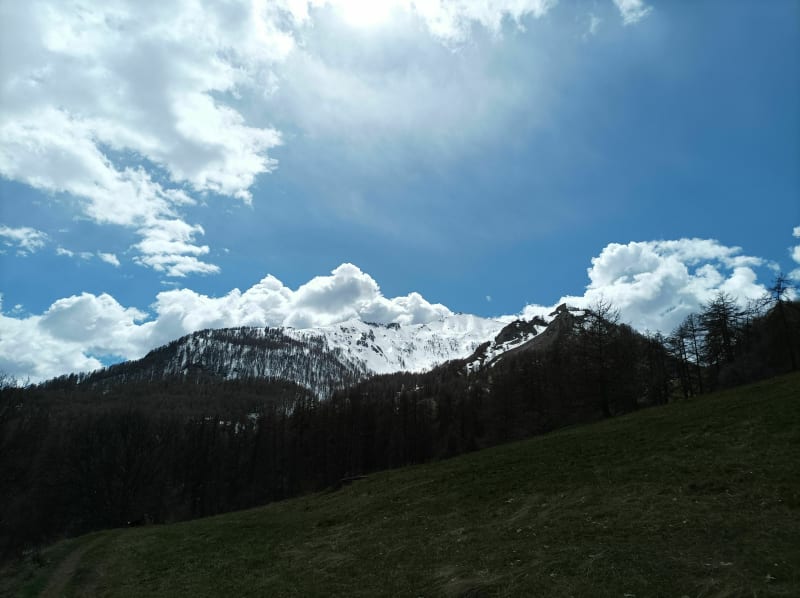 Le chemin de la Selette et le Grand Pré avec Rox - Allos