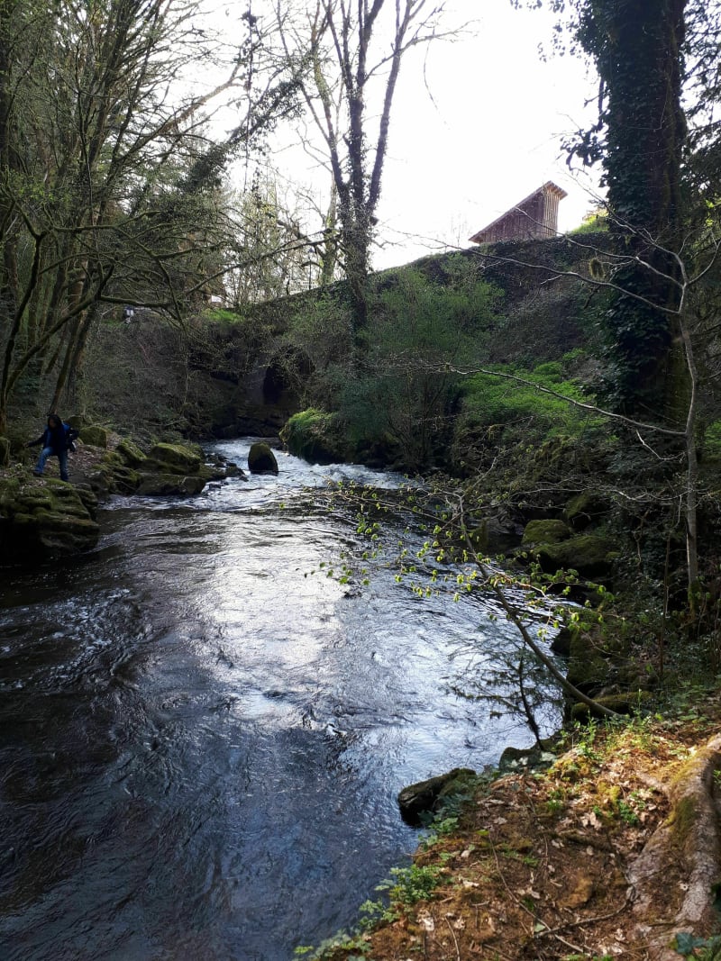 Gimel circuit en forêt - Gimel-les-Cascades