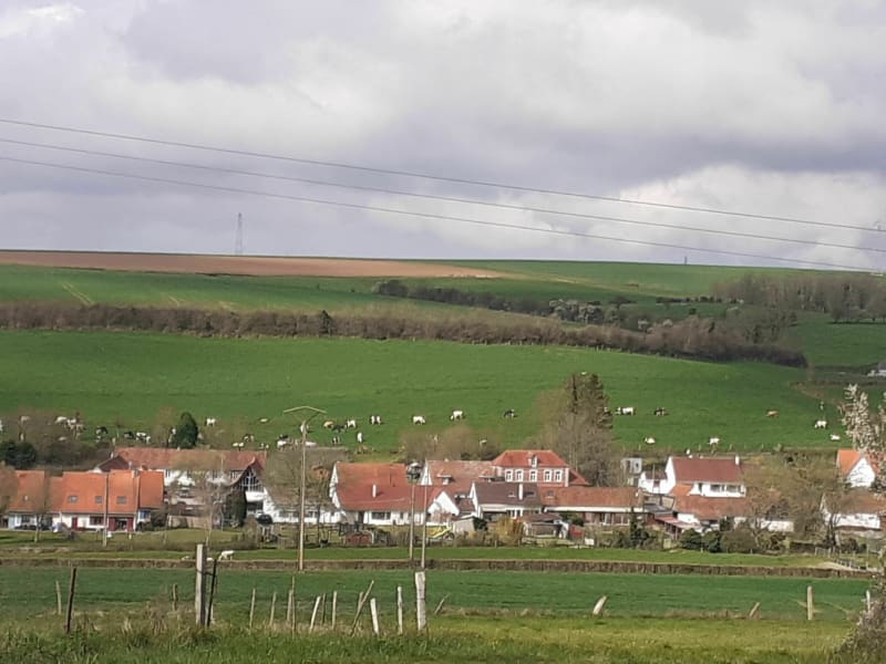 Boucle du Bois de Longvilliers par les Quatres Chênes - Longvilliers