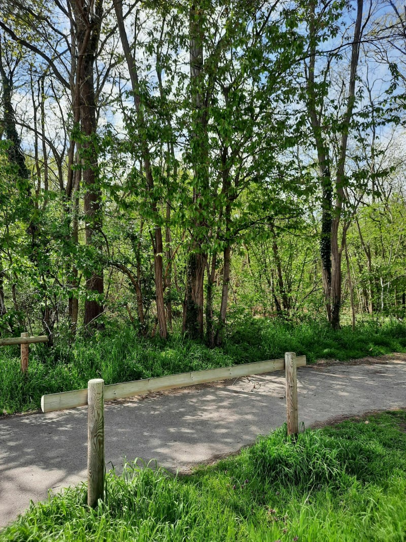Petite balade au chemin des friches par Forlen - Haguenau