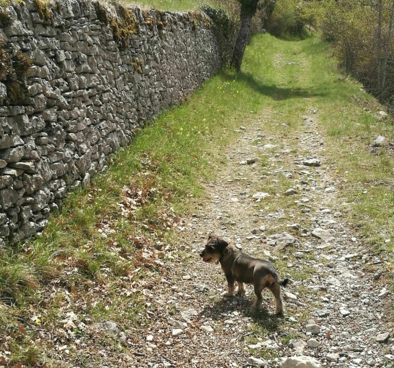 Col de Marot et Imbert - Montjoux