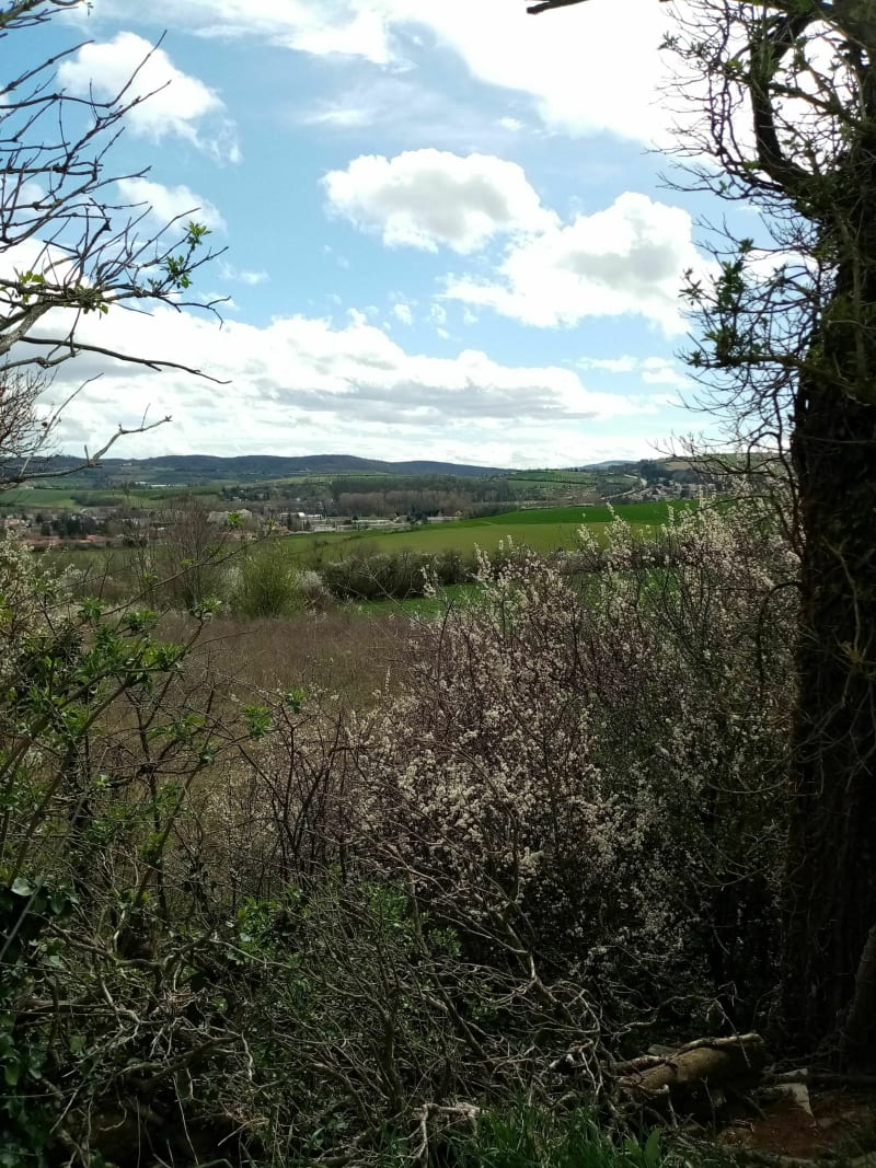 Saint-Symphorien-d'Ozon et Cussinettes - Saint-Symphorien-d'Ozon