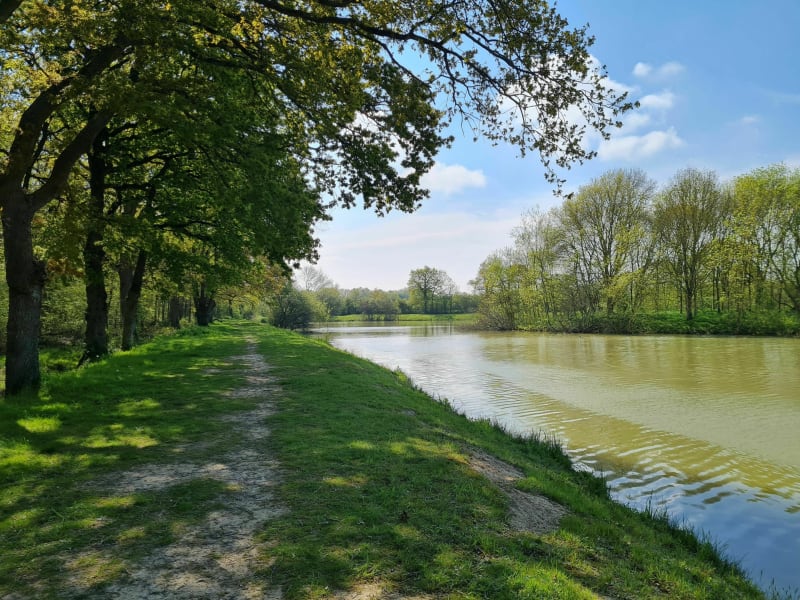 Footing nature dans la forêt de Brain-sur-Longuenée - Erdre-en-Anjou