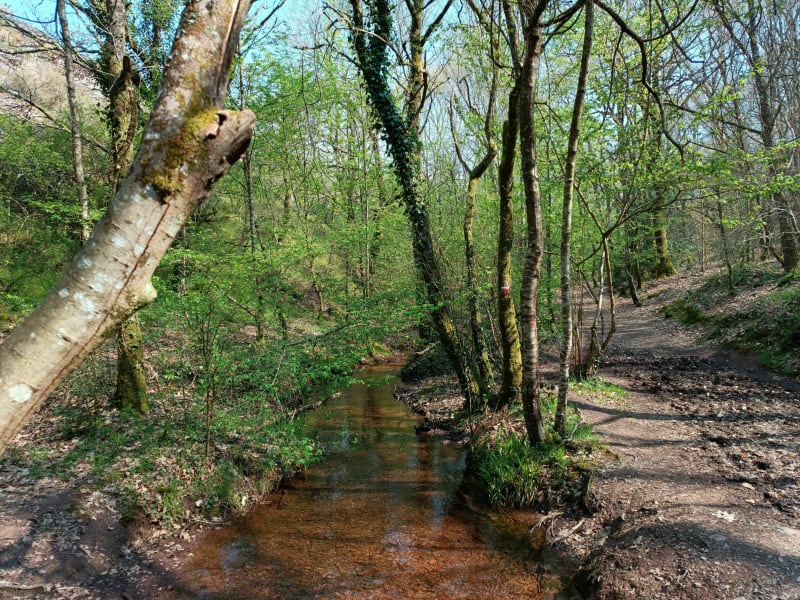 Jusqu'aux confins du Val sans Retour (Brocéliande) - Tréhorenteuc