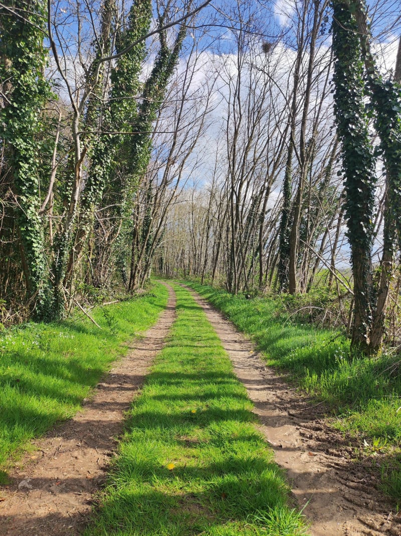 Ladignac-le-Long par le sud - Ladignac-le-Long