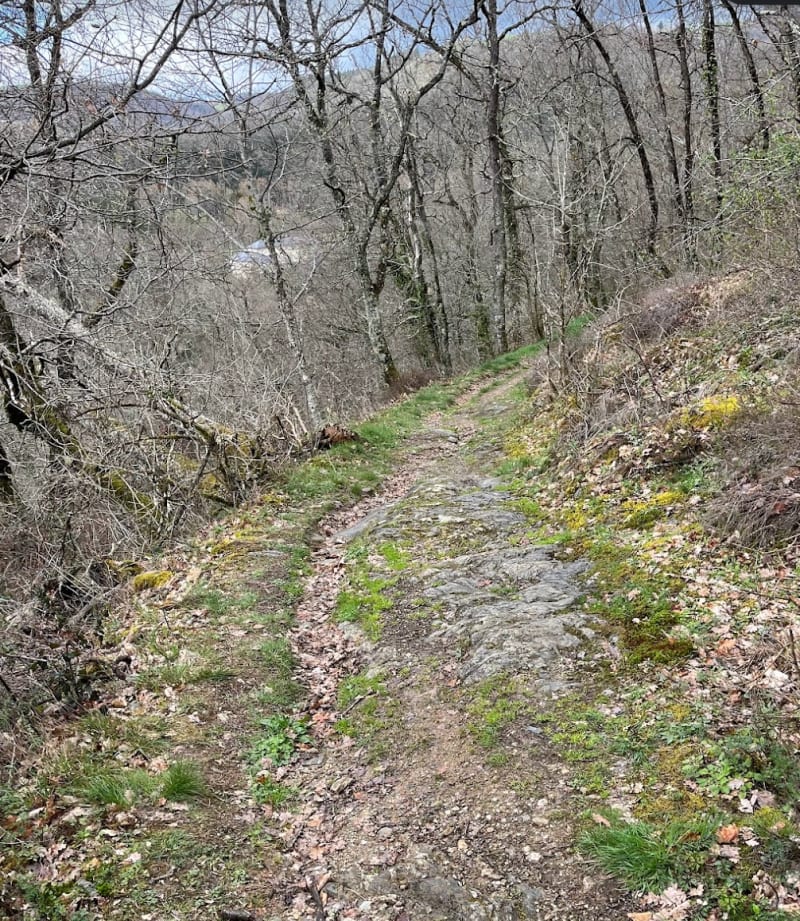 Petite balade mais costaud à la découverte d'Ambialete gravel - Ambialet