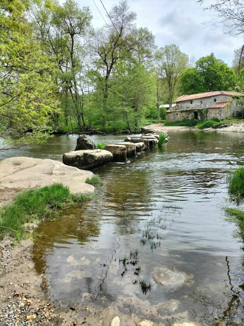 Découverte du lac de Cébron - Saint-Loup-Lamairé