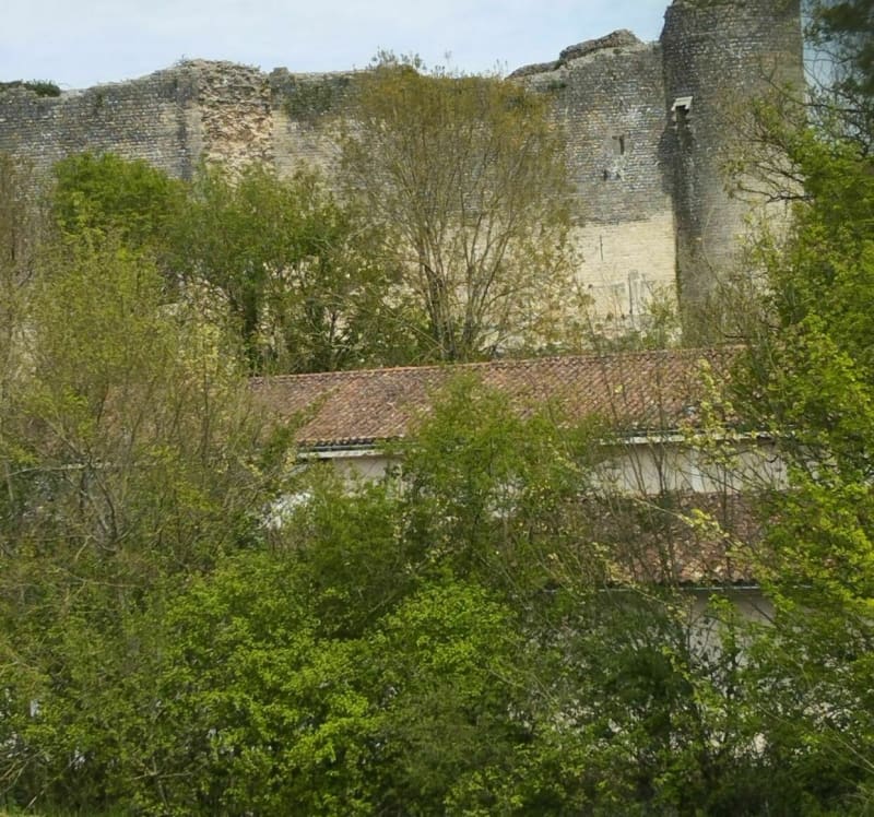 Belle balade à belle la Clouère - Gençay