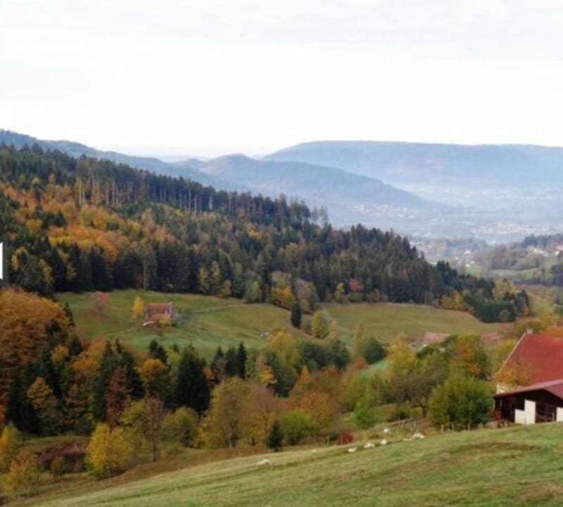 Col de la Burotte VTT - Vagney