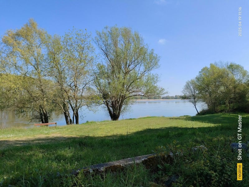 Petite flânerie champêtre et bucolique à Juigné-sur-Loire - Les Garennes sur Loire