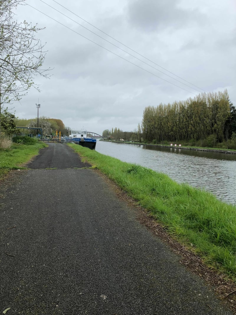 Au bord de La Deule depuis Vendin-le-Vieil - Vendin-le-Vieil