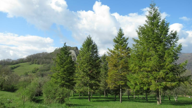 Rocher de Julie - Montgaillard