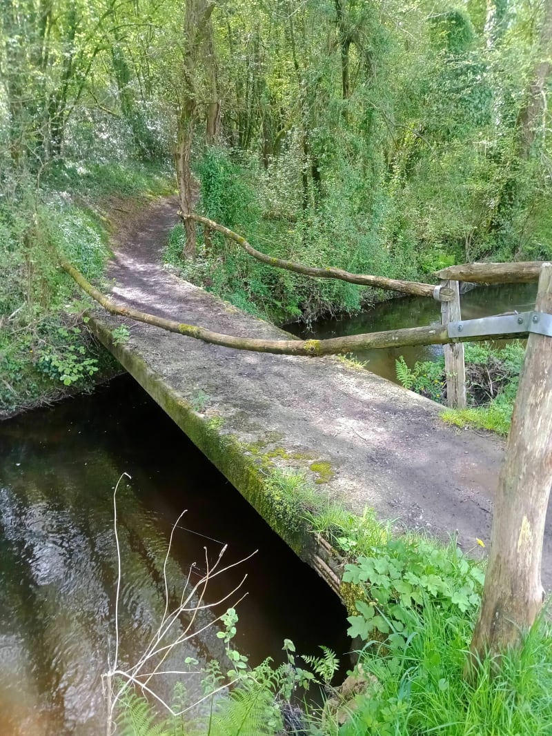 Boucle par Locminé, Plumelin et Moustoir-Ac le long du Tarun - Locminé