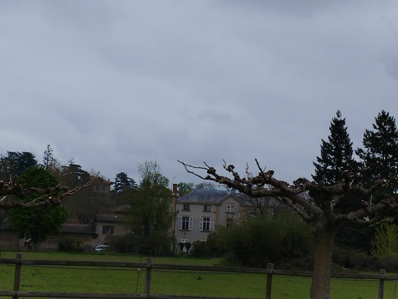 Boucle au départ de Veauchette - Veauchette
