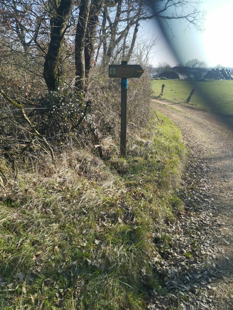 Belle balade à Voulon entre rivière et moulin - Voulon
