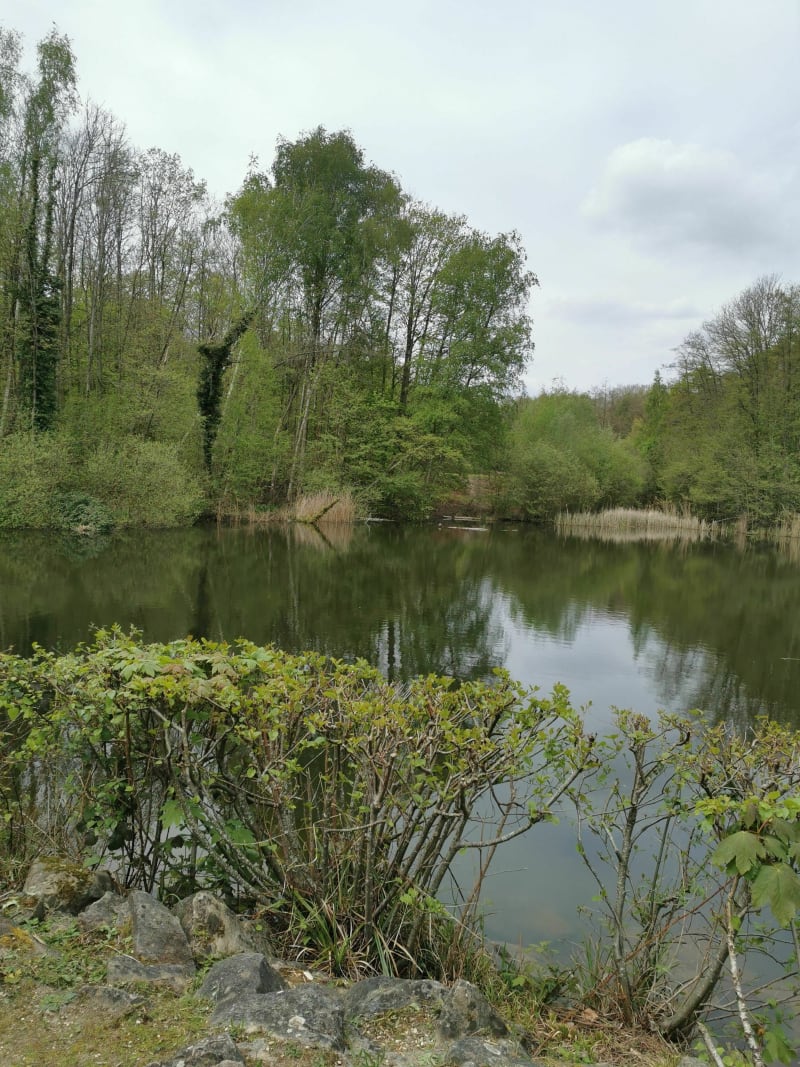 Balade à la forêt de Bondy et ses étangs - Coubron