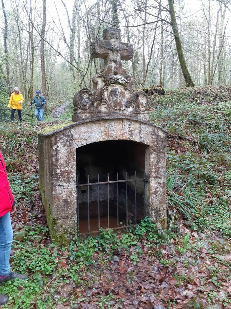 Prachtige boswandeling in het Louvemontbos - Louvemont