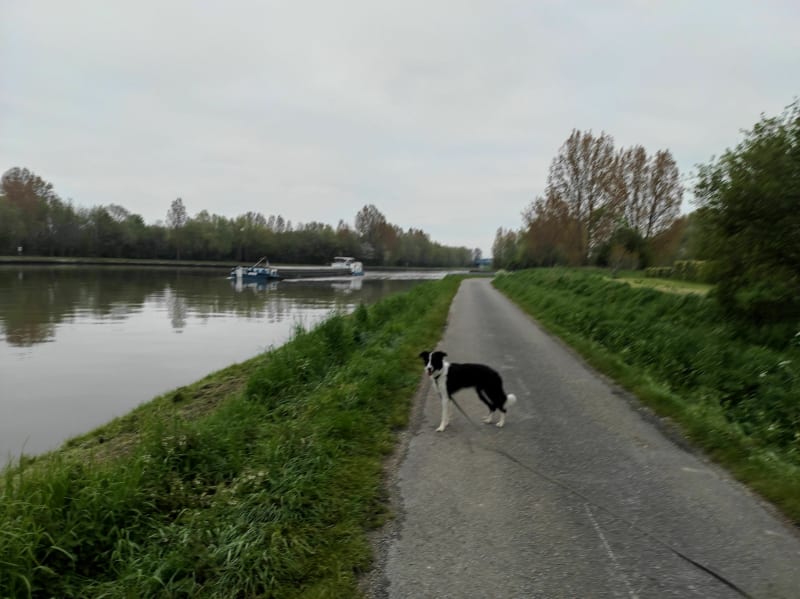 Balade le long des canaux entre Arques et Saint-Omer - Saint-Omer