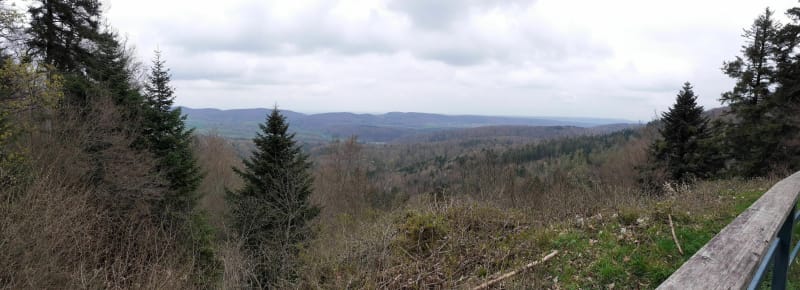 Col du Neuneich depuis Ligsdorf - Ligsdorf