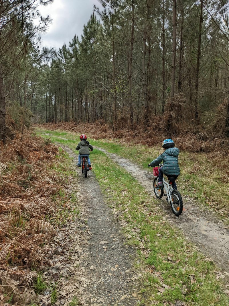 Petit tour Vtt/gravel au départ de Roaillan - Roaillan