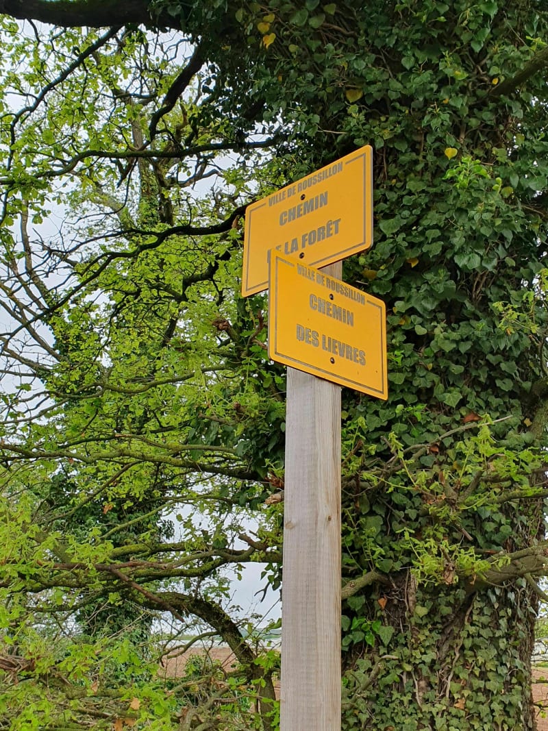 Petite balade par Tremont mais pas de lièvres - Ville-sous-Anjou