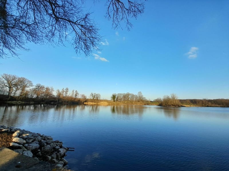 Tour de l'etang de Flagey - Flagey-lès-Auxonne