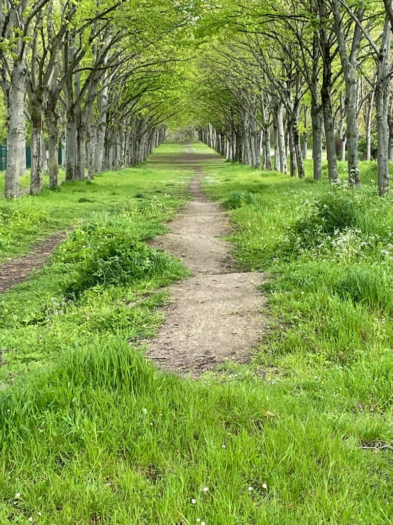 Le Long de l’Oise depuis les Touleuses - Cergy
