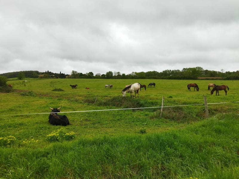 Petite balade entre Labastide Beauvoir et les Varennes - Labastide-Beauvoir
