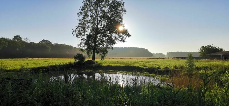 Le circuit des oiseaux à Marchiennes - Marchiennes