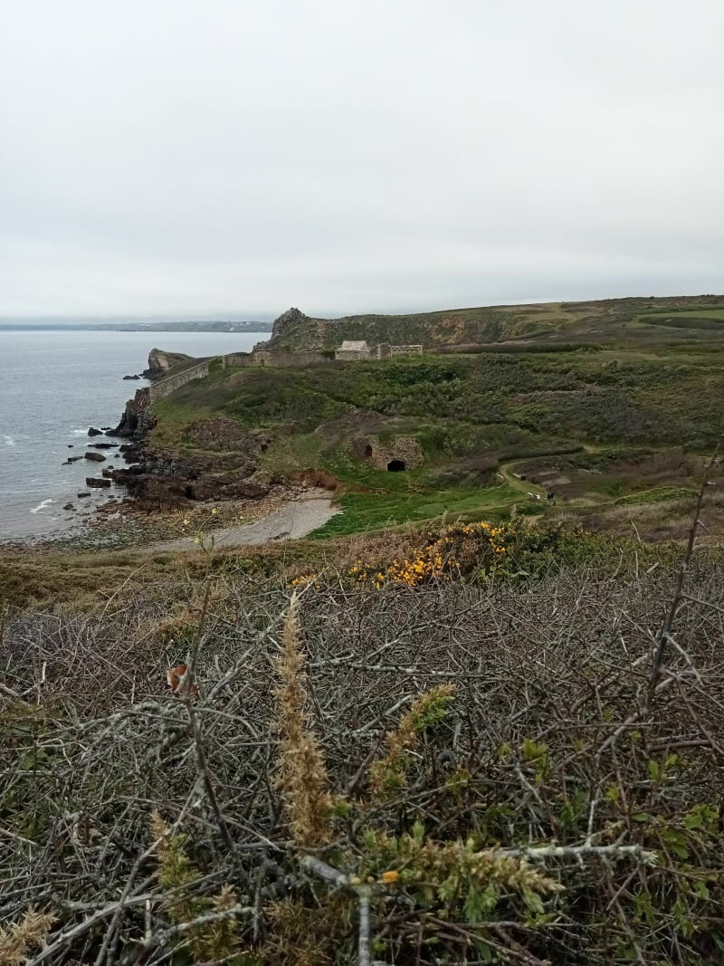 Pointe de Roscanvel - Roscanvel
