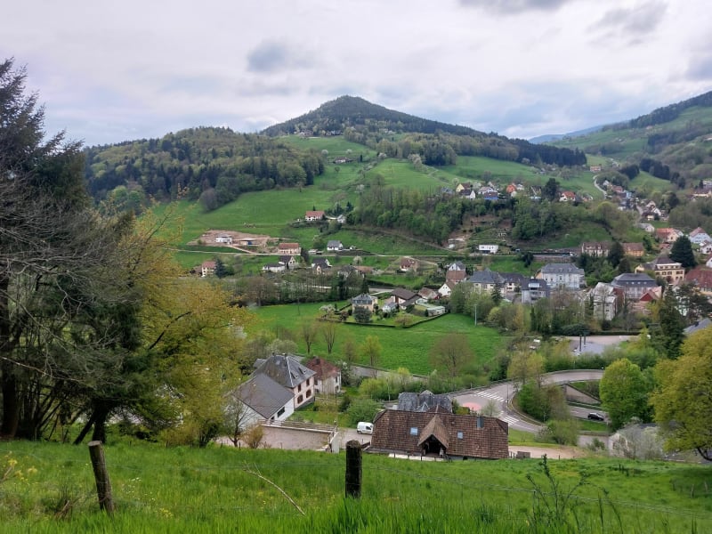 Petite balade dans la forêt de Lapoutroie par le Haumée - Lapoutroie