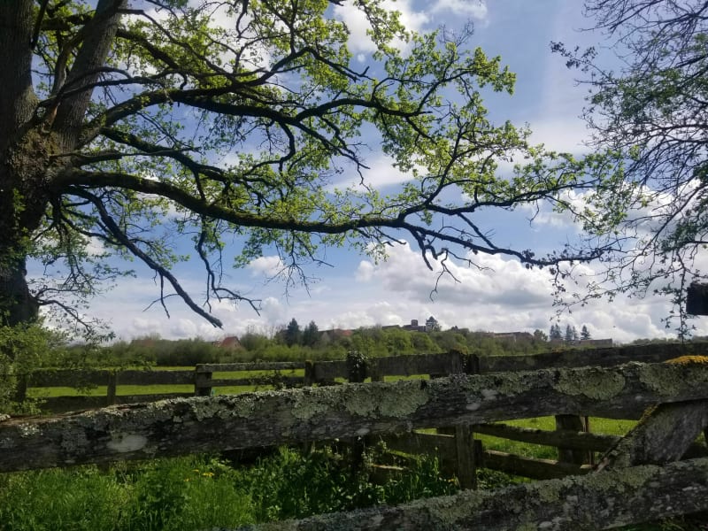 Campagne du Clunisois à Salornay-sur-Guye - Salornay-sur-Guye