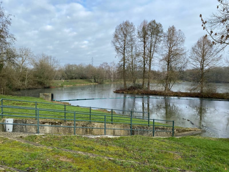 Balade par le Bassin de la Boissière à Elancourt - Élancourt