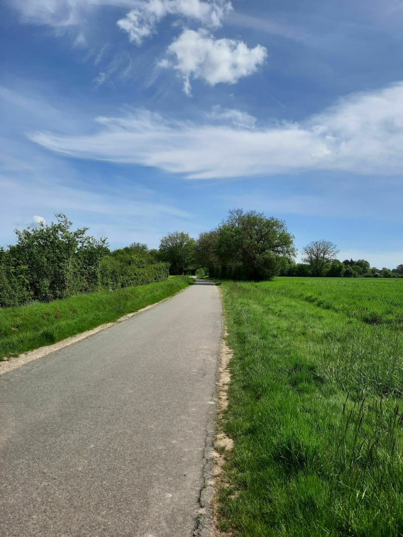 Boucle campagnarde par Chatillon sur Loire à Vélo - Briare
