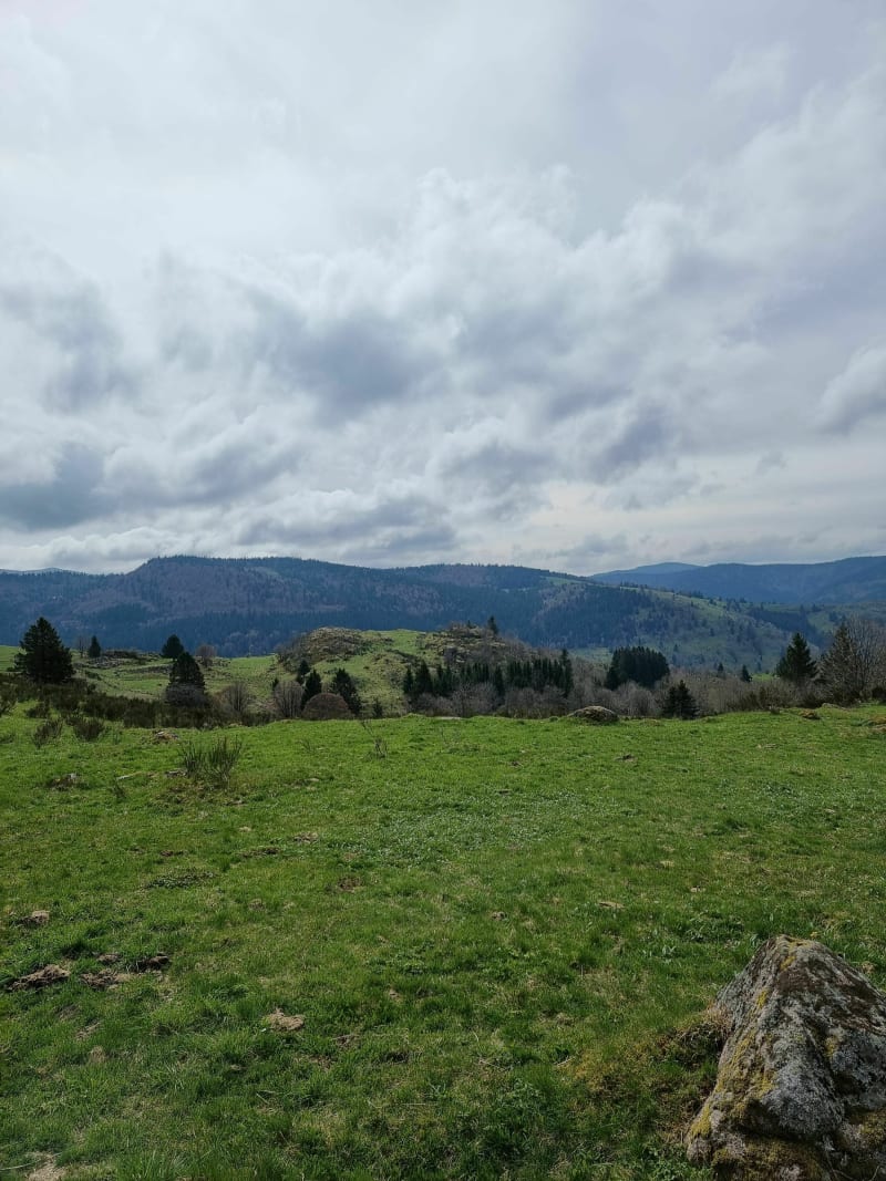 Wandelen naar Roche des Bioquets en Tête de Grouvelin - Gérardmer