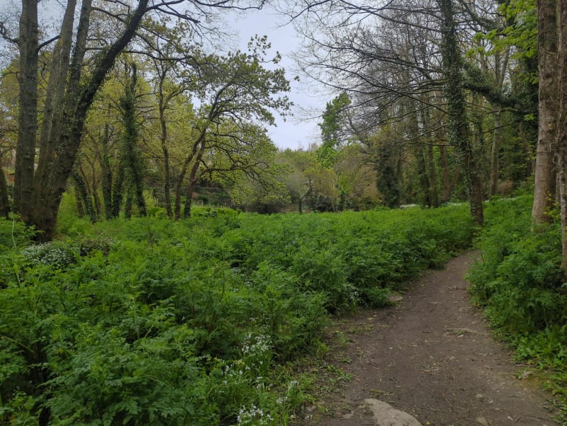 Petit tour autour de Lambézellec - Brest