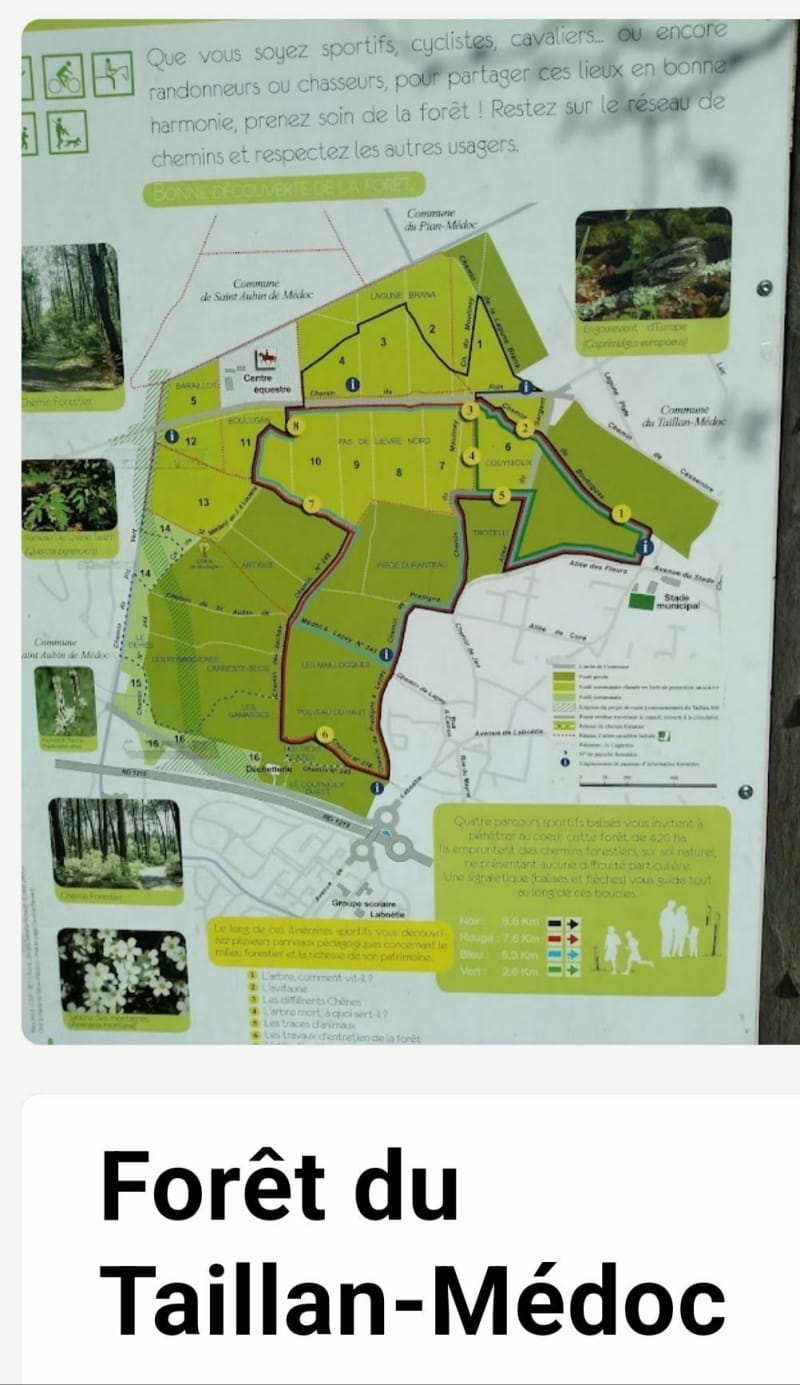 Boucle dans la forêt du Taillan Médoc - Le Taillan-Médoc