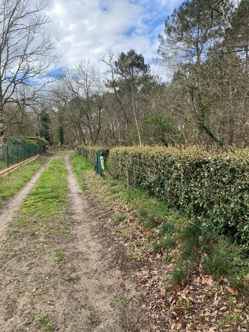 Douceur dans nos forêts - Barbaste